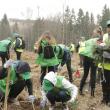 „Pădurea de mâine” a mai crescut cu 6160 de puieți de arbori, cu ajutorul voluntarilor 5 foto Ema Motrescu