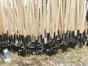 „Pădurea de mâine” a mai crescut cu 6160 de puieți de arbori, cu ajutorul voluntarilor 6 foto Ema Motrescu