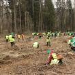 Voluntari de toate vârstele au participat la împădurirea a 1,3 hectare de teren forestier, la Clit - Arbore. Foto: Ema Motrescu