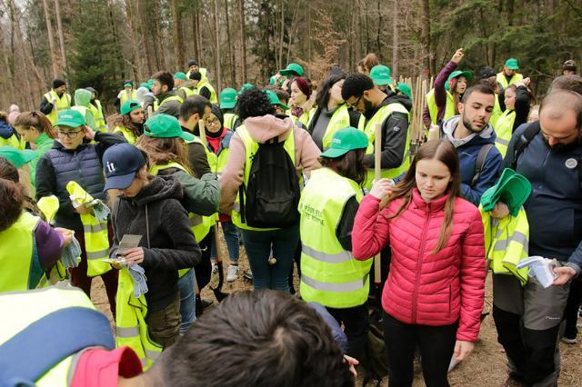 „Pădurea de Mâine” a mai crescut cu 6.160 de puieți de arbori, plantați la Arbore. Foto: Ema Motrescu