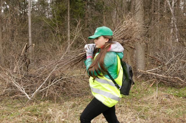 „Pădurea de Mâine” a mai crescut cu 6.160 de puieți de arbori, plantați la Arbore. Foto: Ema Motrescu