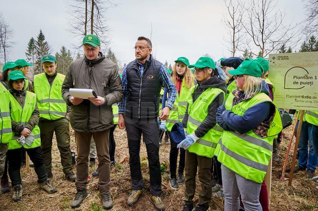 „Pădurea de Mâine” a mai crescut cu 6.160 de puieți de arbori, plantați la Arbore.