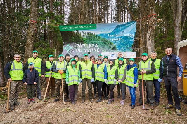 „Pădurea de Mâine” a mai crescut cu 6.160 de puieți de arbori, plantați la Arbore.