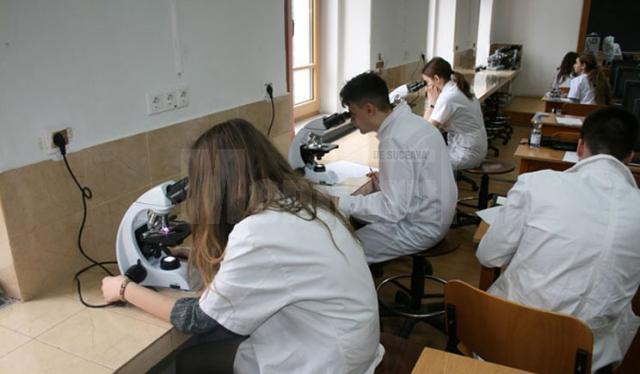 Lot consistent de elevi pentru Olimpiada Națională de Biologie. Foto www.voceavalcii.ro
