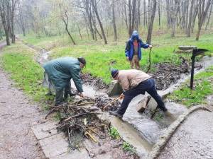 Actiune de ecologizare a Parcului Sipote, inițiată de Ocolul Silvic Pătrăuți 2