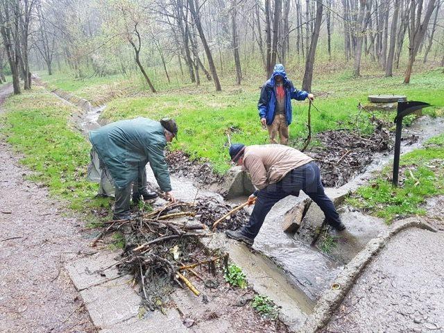 Actiune de ecologizare a Parcului Sipote, inițiată de Ocolul Silvic Pătrăuți 2