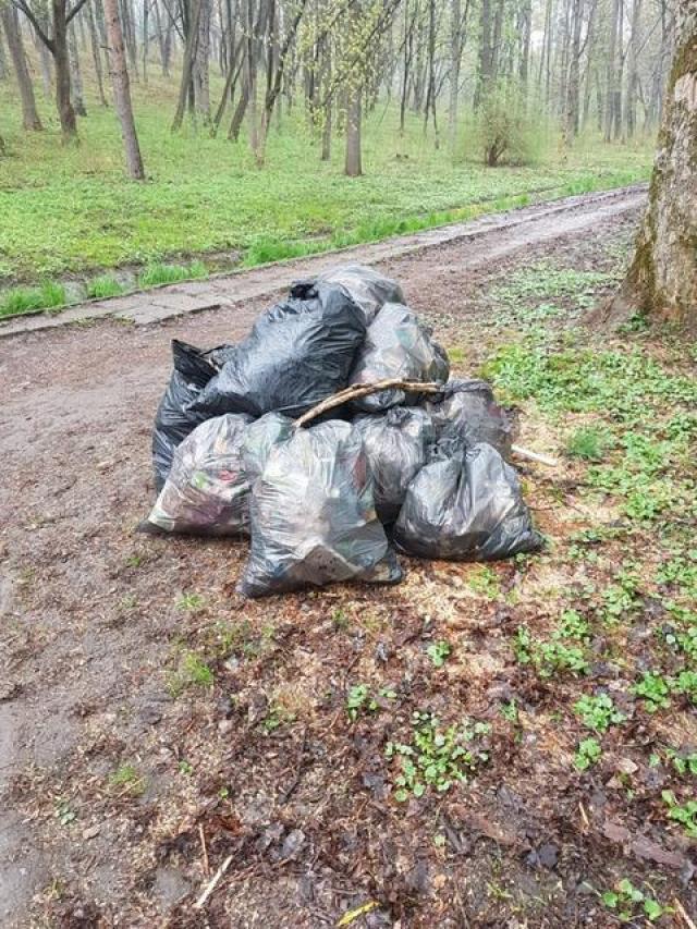 Actiune de ecologizare a Parcului Sipote, inițiată de Ocolul Silvic Pătrăuți 4