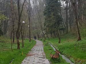 Actiune de ecologizare a Parcului Sipote, inițiată de Ocolul Silvic Pătrăuți 5