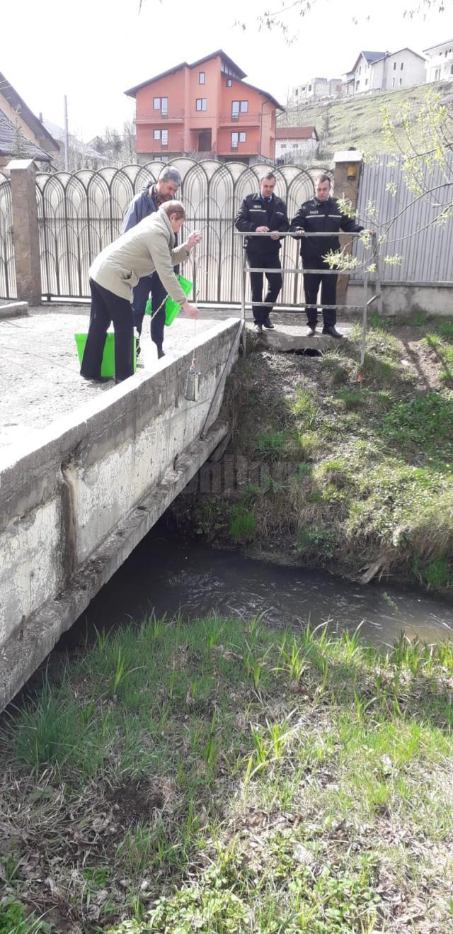 Reprezentanţii Sistemului de Gospodărire a Apelor Suceava s-au deplasat la pârâul Șcheia şi au luat probe din cursul de apă