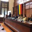 Campania lansată de Ministerul pentru Românii de Pretutindeni a ajuns la Suceava