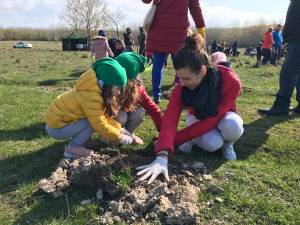 Acţiune de împădurire de la Adâncata, „Pădurea copilăriei”