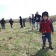 Peste 500 de voluntari au participat la acţiunea de împădurire „Pădurea copilăriei”