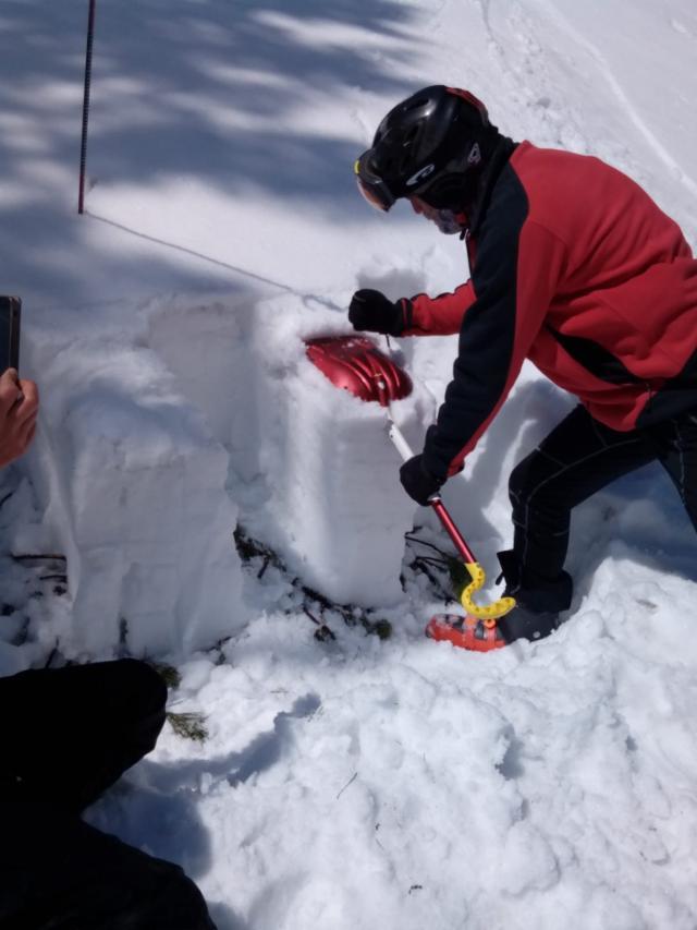 La peste 1.300 de metri stratul de zăpadă are minimum 20 de centimetri, dar poate ajunge şi la 3 metri