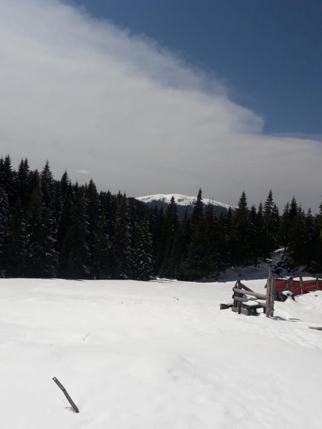 La peste 1.300 de metri stratul de zăpadă are minimum 20 de centimetri, dar poate ajunge şi la 3 metri