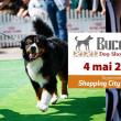 Bucovina Dog Show 2019, în parcarea Shopping City Suceava