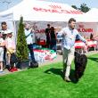 Bucovina Dog Show, cel mai mare eveniment chinologic din nord-estul României, are loc sâmbără, 4 mai