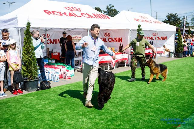 Bucovina Dog Show, cel mai mare eveniment chinologic din nord-estul României, are loc sâmbără, 4 mai