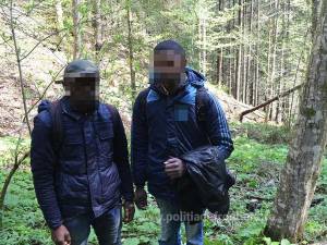Doi tineri originari din Africa, ce intraseră ilegal pe teritoriul României, au fost reţinuţi de poliţiştii de frontieră suceveni