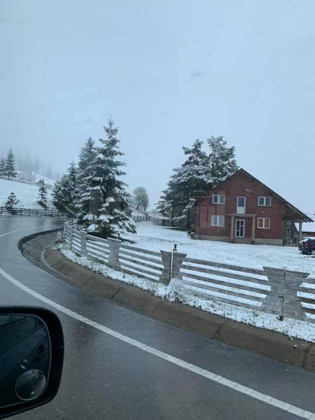Ninge în zona de munte a județului Suceava