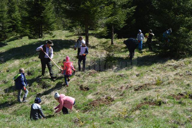 Copilaşii din două şcoli sucevene, la plantare de arbori alături de personalul OS Cârlibaba