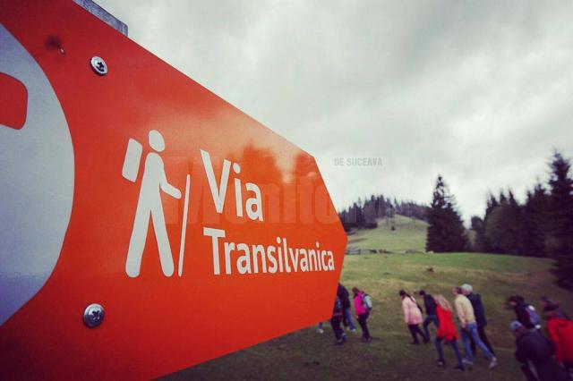 Parteneriat între RNP şi Tăşuleasa Social, pentru realizarea Via Transilvanica, care ajunge până la Putna
