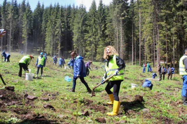 Vedeta TV Carmen Brumă, alături de voluntari, la acțiunea de plantare de la Dorna Candrenilor