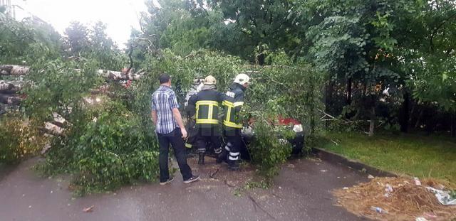 Un copac doborât de furtună a căzut pe o stradă din Siret
