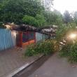 Un copac doborât de furtună a căzut pe o stradă din Siret