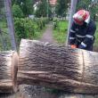 Intervenția pompierilor în municipiul Rădăuți