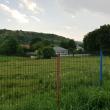Terenul de sport din Pleșești a ajuns un soi de minijunglă, cu vegetaţie crescută excesiv şi unde animalele pasc în voie