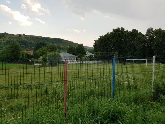 Terenul de sport din Pleșești a ajuns un soi de minijunglă, cu vegetaţie crescută excesiv şi unde animalele pasc în voie