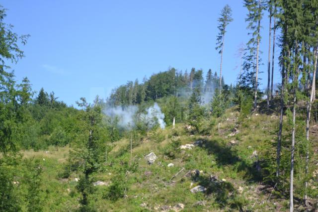 Exerciţiu ISU pentru intervenţia în cazul unui incendiu forestier