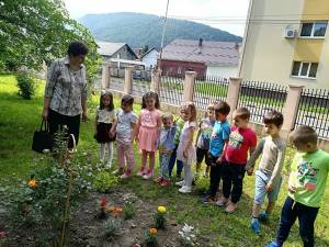 Proiectul “Amenajarea grădinii școlii ca spațiu de învățare”