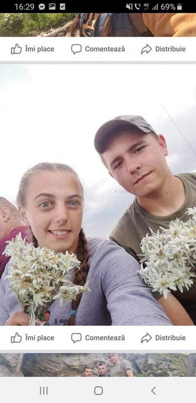 Flori-de-colţ protejate de lege, culese fără număr de săteni din zona Ostra-Stulpicani