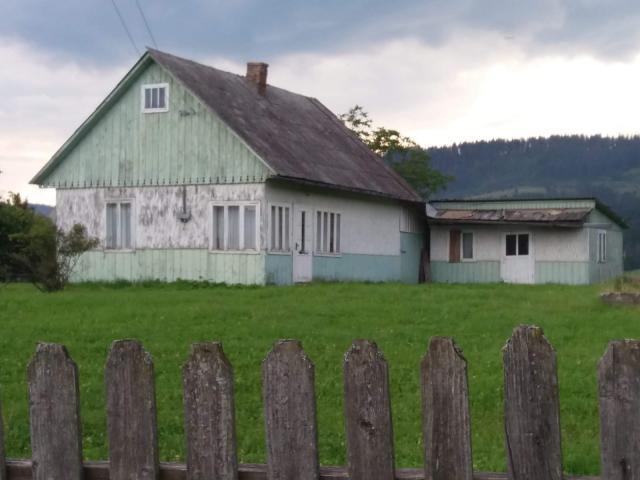 Casa părintească de la Straja, de lângă pădure
