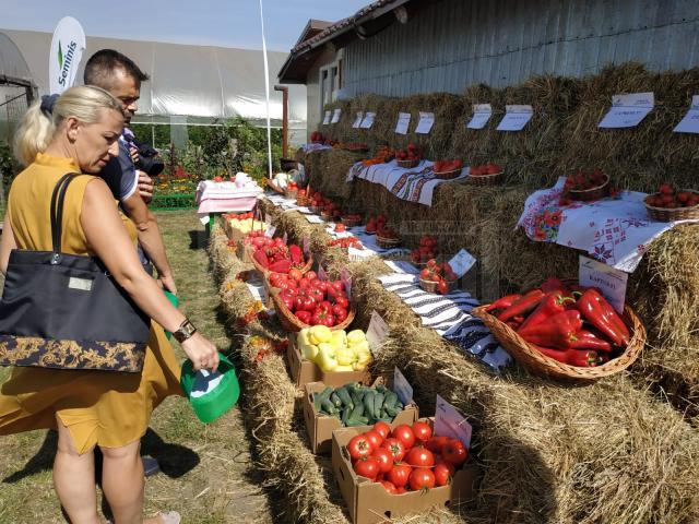 Legumicultorul Vasile Mătrăşoaie, premiat de una dintre cele mai mari companii de seminţe din lume