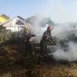 20 de tone de furaje au fost distruse in incendiul produs la un depozit de furaje din satul Poiana- Zvoriștea