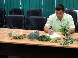 Testarea  cunoștințele teoretice și practice ale participanților la concursul Cel mai bun pădurar 3