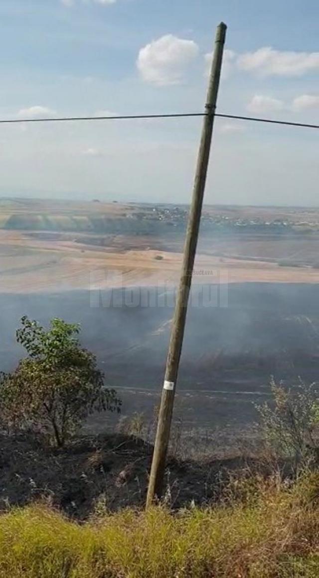 Flăcările care au afectat aproximativ 2,6 hectare de miriște și vegetaţie uscată