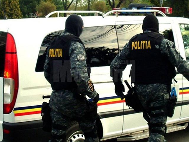 Polițiști rădăuţeni și forțe ale Serviciului pentru Acțiuni Speciale Suceava au efectuat 6 percheziții domiciliare în Rădăuți, Volovăț și Arbore
