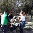 Elevii militari au răspuns „Prezent” campaniei de ecologizare „Let’s Do It, Romania!”