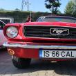 Fordul Mustang fabricaţie 1966, deţinut de Josan Cristian
