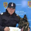 Câinele Olly al pompierilor suceveni, premiat cu bronz la campionatul național de dresaj