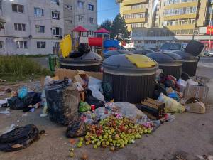 Camere video de supraveghere pentru punctele de colectare a deșeurilor, în Suceava