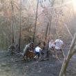 Incendiu puternic de vegetaţie uscată, la Poiana Micului