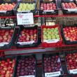 Zece producători au prezentat soiuri de mere cunoscute