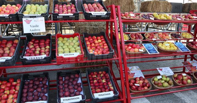 Zece producători au prezentat soiuri de mere cunoscute