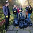 Studenți ai Universității, la curățenie în Parcul Șipote