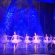 Zeci de solişti ai Teatrului de Operă şi Balet din Kiev, aplaudați îndelung la Suceava, după spectacolul „Spărgătorul de nuci”