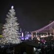 Luminile de sărbătoare, aprinse de Ziua Bucovinei, în centrul Sucevei